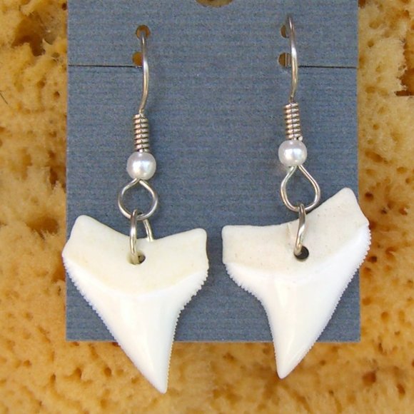 Earrings Shark Tooth Genuine Shark Teeth Dangle Ear Wires Silver Tone with Pearl - Picture 1 of 6
